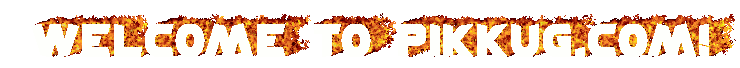 Welcome to PikkuG.com